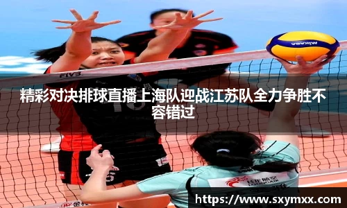 精彩对决排球直播上海队迎战江苏队全力争胜不容错过